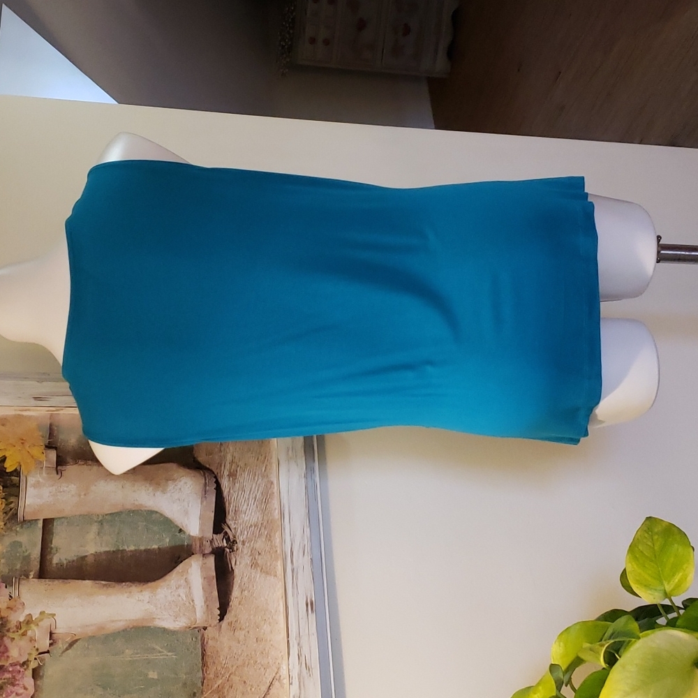 ♦️♦️ SOLD ♦️♦️Coldwater Creek Tank - Picture 5 of 6